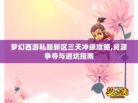 梦幻西游私服新区三天冲级攻略,资源争夺与避坑指南