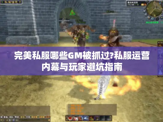 完美私服哪些GM被抓过?私服运营内幕与玩家避坑指南 完美私服哪些GM被抓过?私服运营内幕与玩家避坑指南