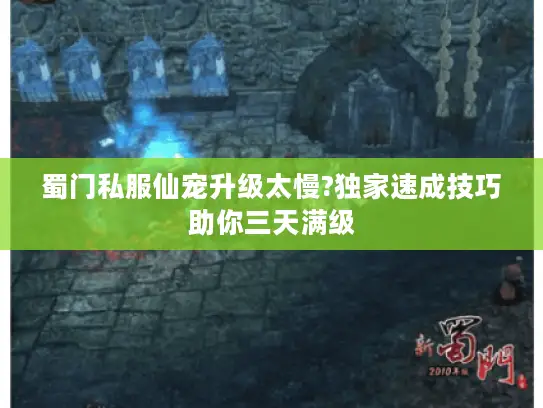 蜀门私服仙宠升级太慢?独家速成技巧助你三天满级
