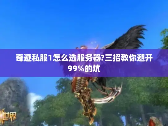 奇迹私服1怎么选服务器?三招教你避开99%的坑 奇迹私服1怎么选服务器?三招教你避开99%的坑