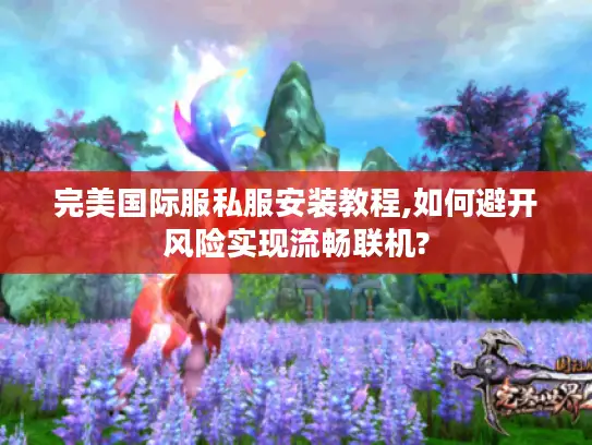 完美国际服私服安装教程,如何避开风险实现流畅联机?