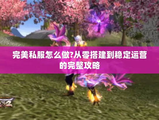 完美私服怎么做?从零搭建到稳定运营的完整攻略 完美私服怎么做?从零搭建到稳定运营的完整攻略