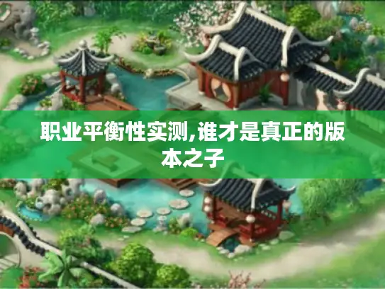 职业平衡性实测,谁才是真正的版本之子