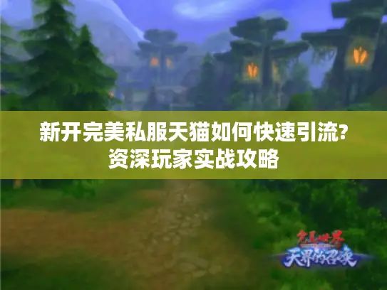 新开完美私服天猫如何快速引流?资深玩家实战攻略