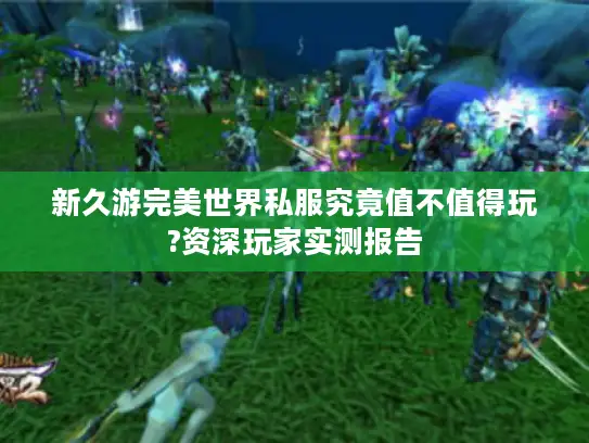 新久游完美世界私服究竟值不值得玩?资深玩家实测报告 新久游完美世界私服究竟值不值得玩?资深玩家实测报告