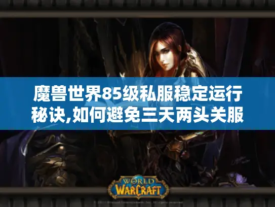 魔兽世界85级私服稳定运行秘诀,如何避免三天两头关服?