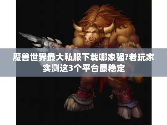 魔兽世界最大私服下载哪家强?老玩家实测这3个平台最稳定