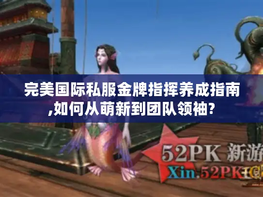 完美国际私服金牌指挥养成指南,如何从萌新到团队领袖?