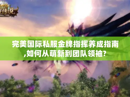 完美国际私服金牌指挥养成指南,如何从萌新到团队领袖?