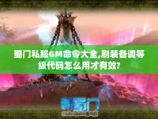 蜀门私服GM命令大全,刷装备调等级代码怎么用才有效?