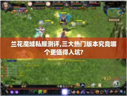 兰花魔域私服测评,三大热门版本究竟哪个更值得入坑?