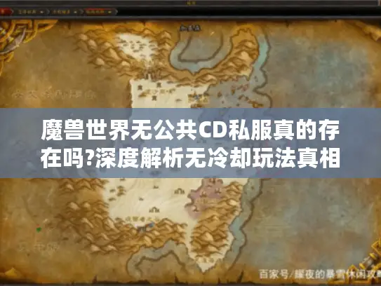 魔兽世界无公共CD私服真的存在吗?深度解析无冷却玩法真相