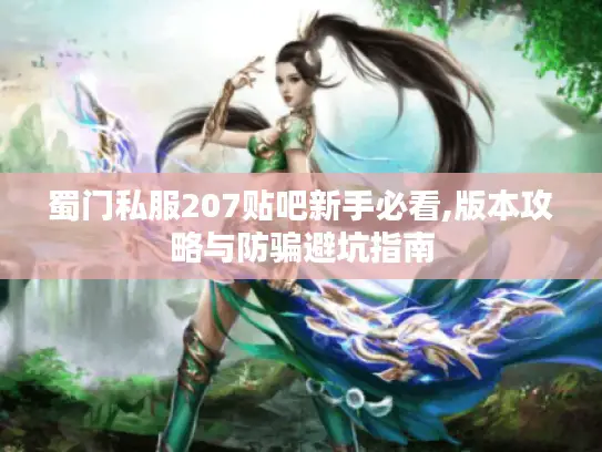 蜀门私服207贴吧新手必看,版本攻略与防骗避坑指南