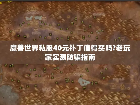 魔兽世界私服40元补丁值得买吗?老玩家实测防骗指南 魔兽世界私服40元补丁值得买吗?老玩家实测防骗指南