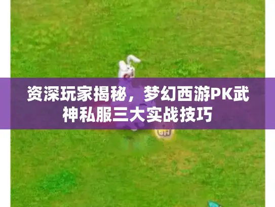 资深玩家揭秘，梦幻西游PK武神私服三大实战技巧