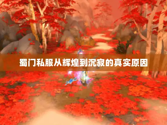 蜀门私服从辉煌到沉寂的真实原因
