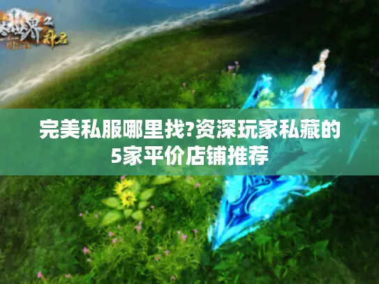 完美私服哪里找?资深玩家私藏的5家平价店铺推荐 完美私服哪里找?资深玩家私藏的5家平价店铺推荐