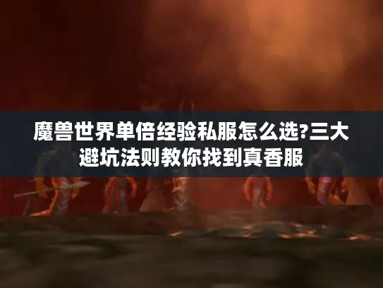 魔兽世界单倍经验私服怎么选?三大避坑法则教你找到真香服