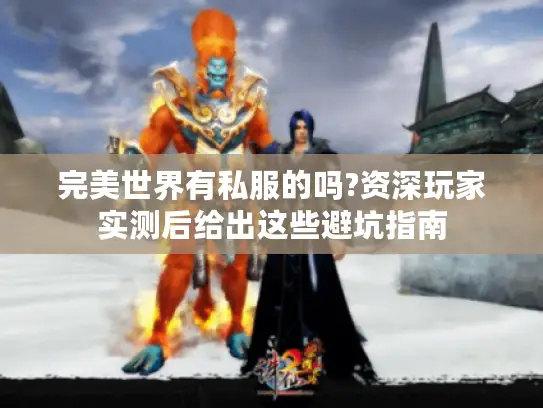 完美世界有私服的吗?资深玩家实测后给出这些避坑指南