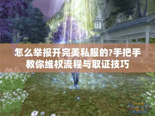 怎么举报开完美私服的?手把手教你维权流程与取证技巧