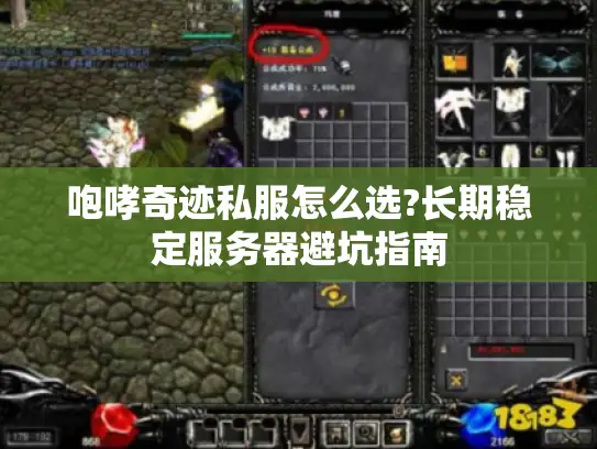 咆哮奇迹私服怎么选?长期稳定服务器避坑指南