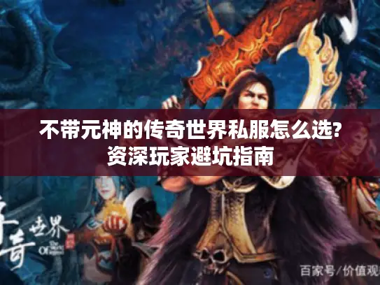 不带元神的传奇世界私服怎么选?资深玩家避坑指南
