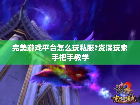 完美游戏平台怎么玩私服?资深玩家手把手教学 完美游戏平台怎么玩私服?资深玩家手把手教学