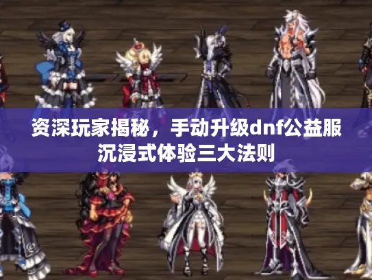 资深玩家揭秘，手动升级dnf公益服沉浸式体验三大法则
