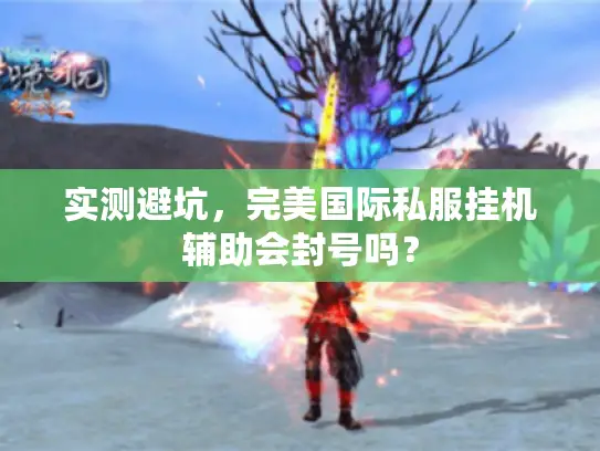 实测避坑，完美国际私服挂机辅助会封号吗？