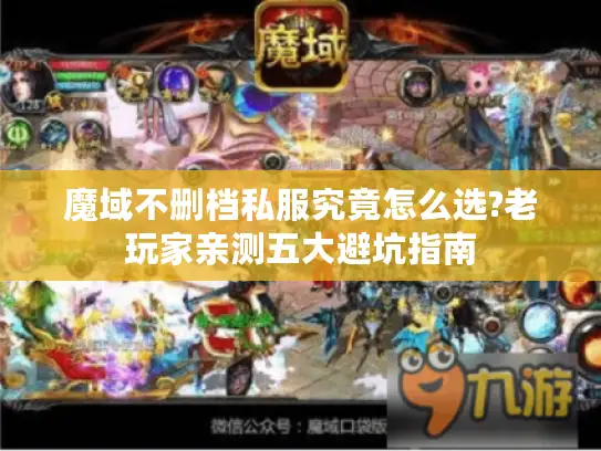 魔域不删档私服究竟怎么选?老玩家亲测五大避坑指南