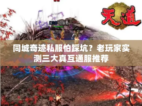 同城奇迹私服怕踩坑？老玩家实测三大真互通服推荐