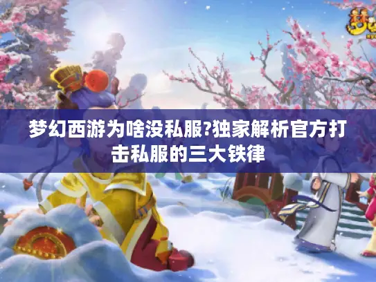 梦幻西游为啥没私服?独家解析官方打击私服的三大铁律