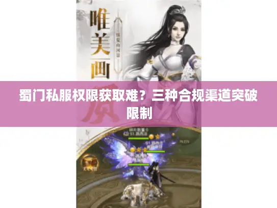 蜀门私服权限获取难？三种合规渠道突破限制