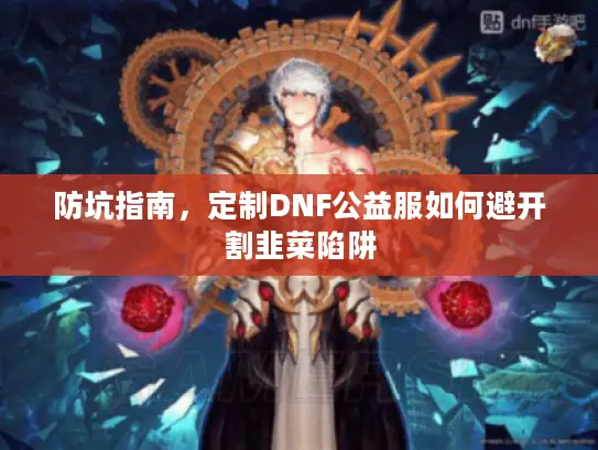 防坑指南，定制DNF公益服如何避开割韭菜陷阱