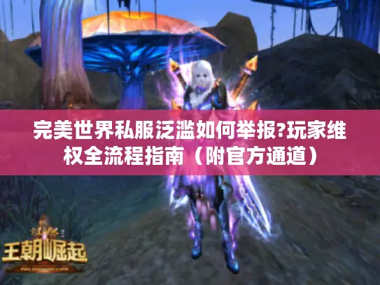 完美世界私服泛滥如何举报?玩家维权全流程指南（附官方通道）