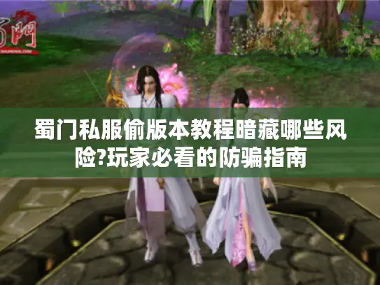 蜀门私服偷版本教程暗藏哪些风险?玩家必看的防骗指南