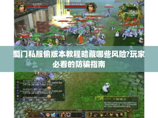 蜀门私服偷版本教程暗藏哪些风险?玩家必看的防骗指南
