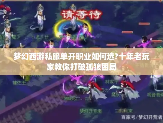 梦幻西游私服单开职业如何选?十年老玩家教你打破孤狼困局