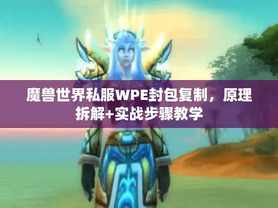 魔兽世界私服WPE封包复制，原理拆解+实战步骤教学