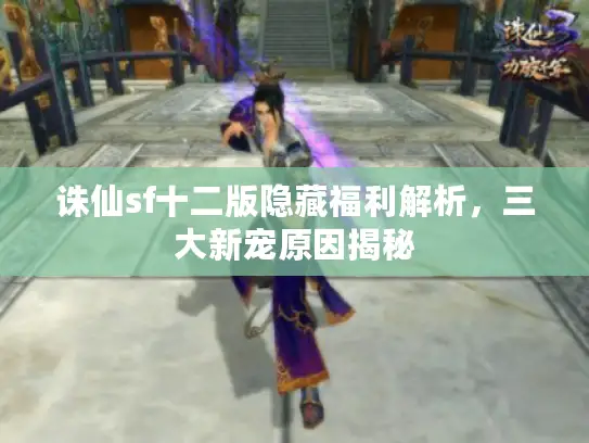 诛仙sf十二版隐藏福利解析，三大新宠原因揭秘