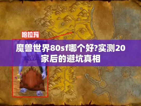 魔兽世界80sf哪个好?实测20家后的避坑真相