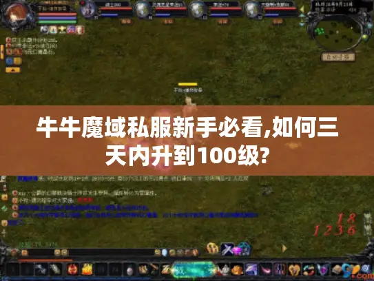 牛牛魔域私服新手必看,如何三天内升到100级?