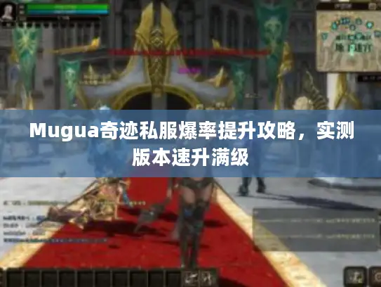 Mugua奇迹私服爆率提升攻略，实测版本速升满级