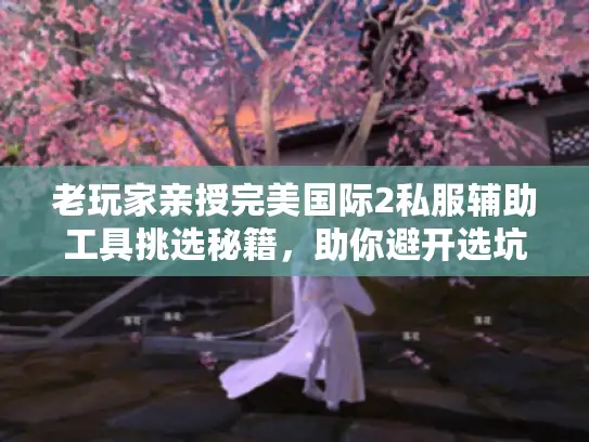 老玩家亲授完美国际2私服辅助工具挑选秘籍，助你避开选坑雷区