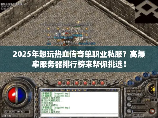 2025年想玩热血传奇单职业私服？高爆率服务器排行榜来帮你挑选！