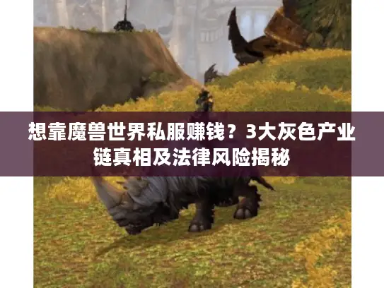 想靠魔兽世界私服赚钱？3大灰色产业链真相及法律风险揭秘