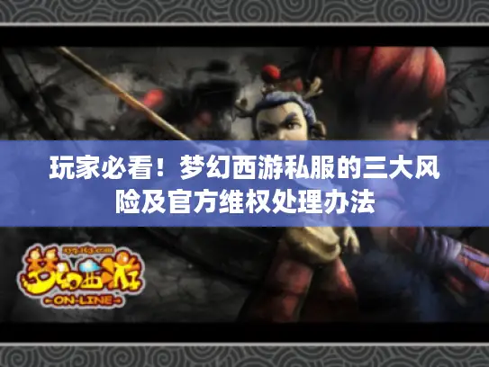 玩家必看！梦幻西游私服的三大风险及官方维权处理办法