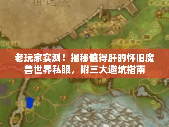 老玩家实测！揭秘值得肝的怀旧魔兽世界私服，附三大避坑指南