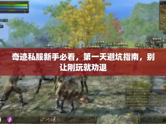 奇迹私服新手必看，第一天避坑指南，别让刚玩就劝退
