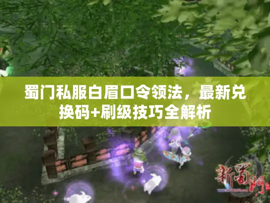 蜀门私服白眉口令领法，最新兑换码+刷级技巧全解析